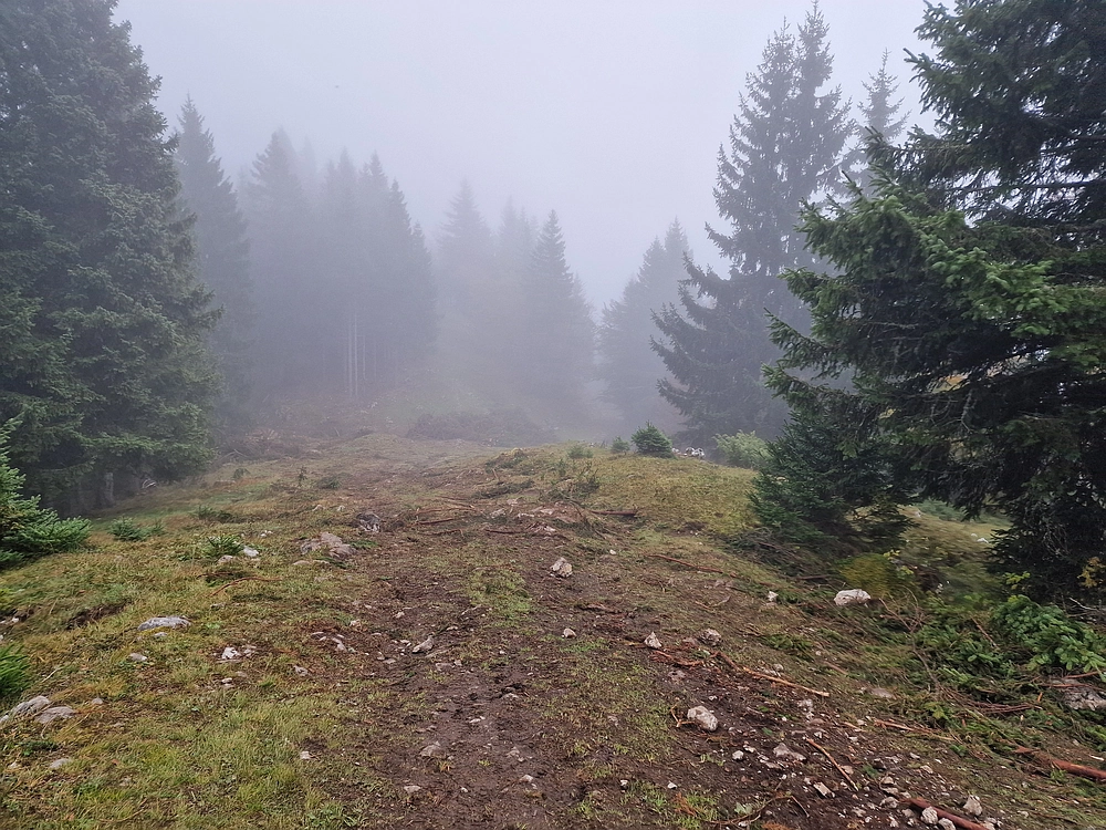 Ratitovec, 12. 10. 2025