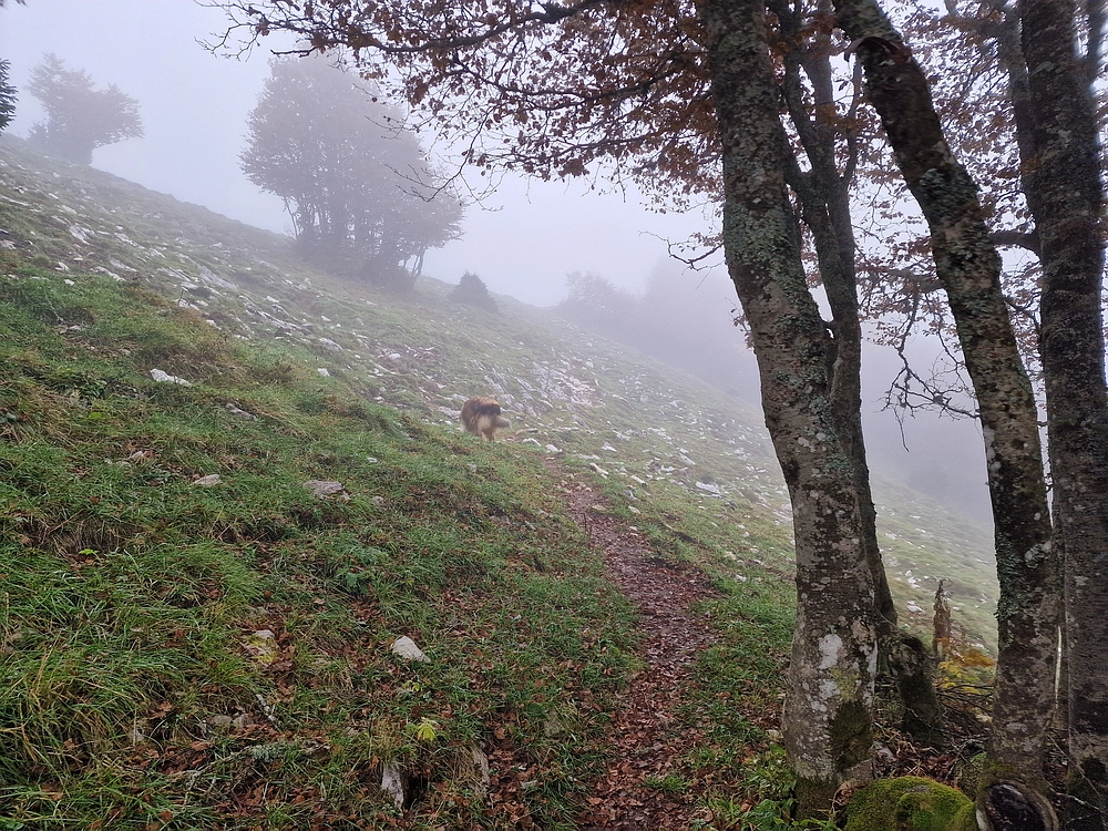 Ratitovec, 12. 10. 2025