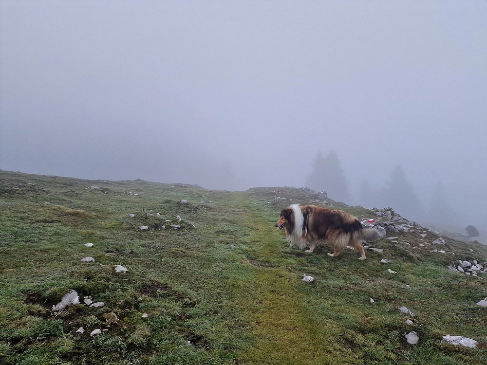 Ratitovec, 12. 10. 2025