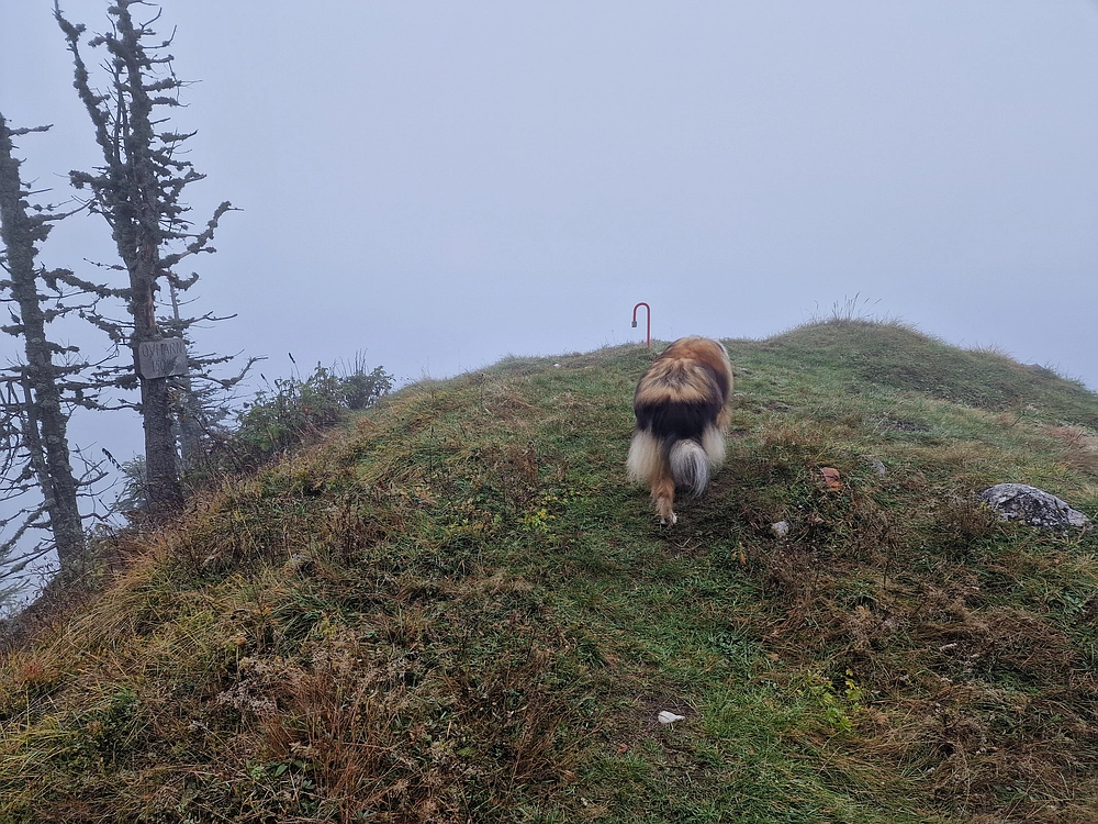 Ratitovec, 12. 10. 2025