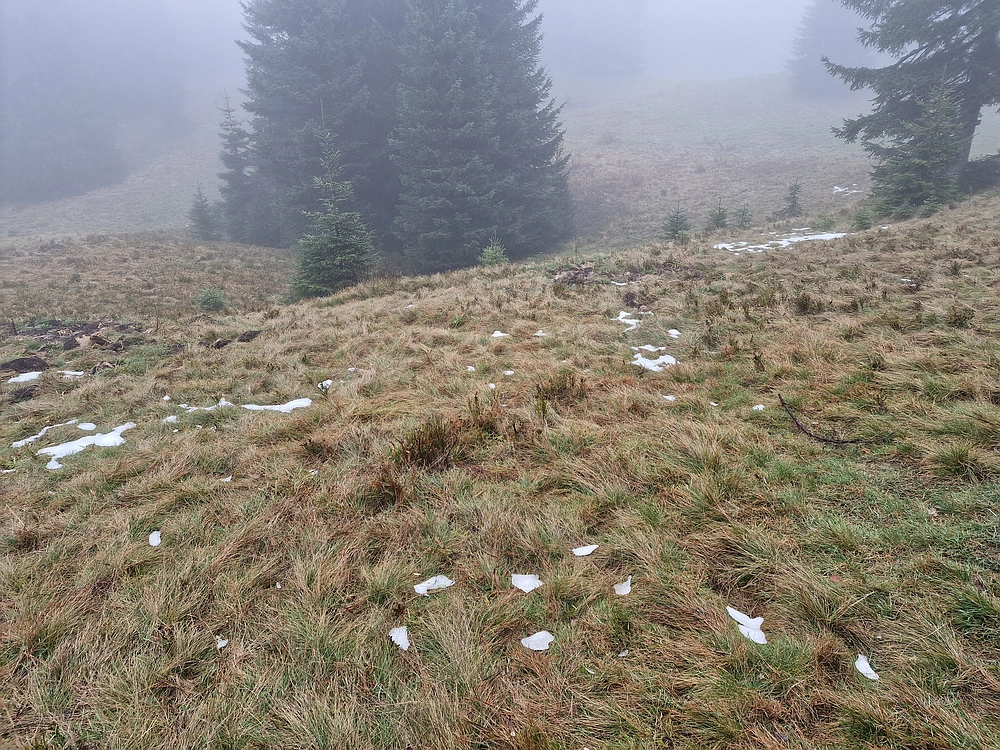 Ratitovec, 12. 10. 2025