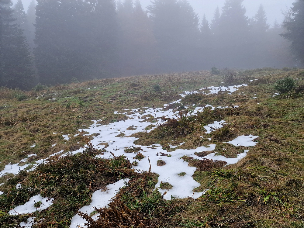 Ratitovec, 12. 10. 2025