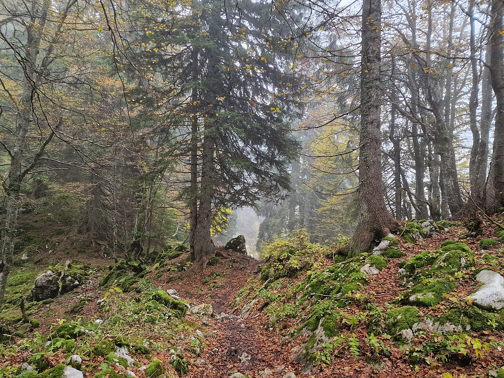 Ratitovec, 12. 10. 2025