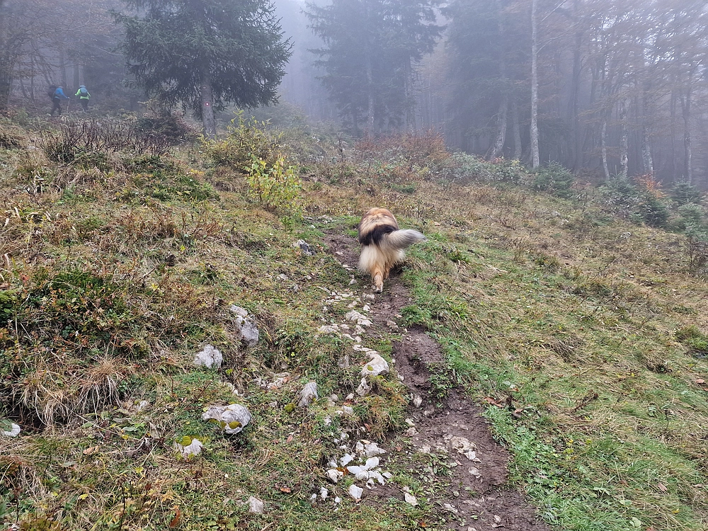 Ratitovec, 12. 10. 2025