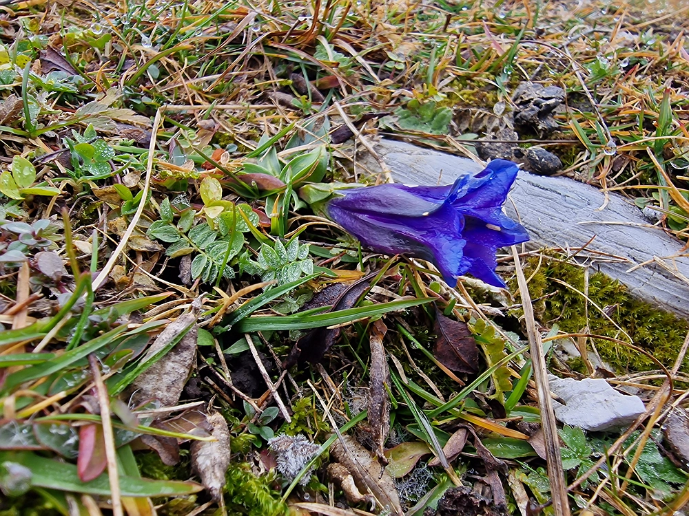 Ratitovec, 12. 10. 2025