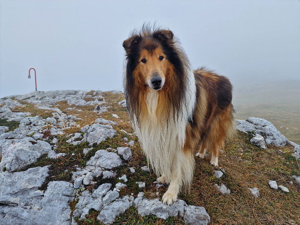 Ratitovec, 12. 10. 2025