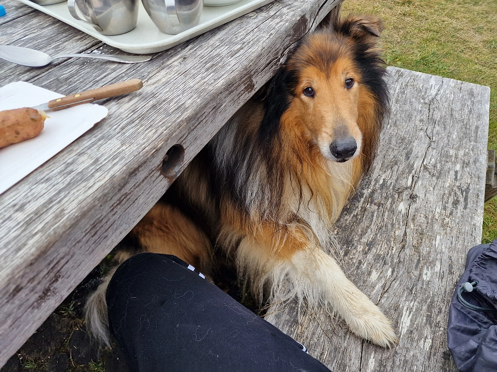 Ratitovec, 12. 10. 2025