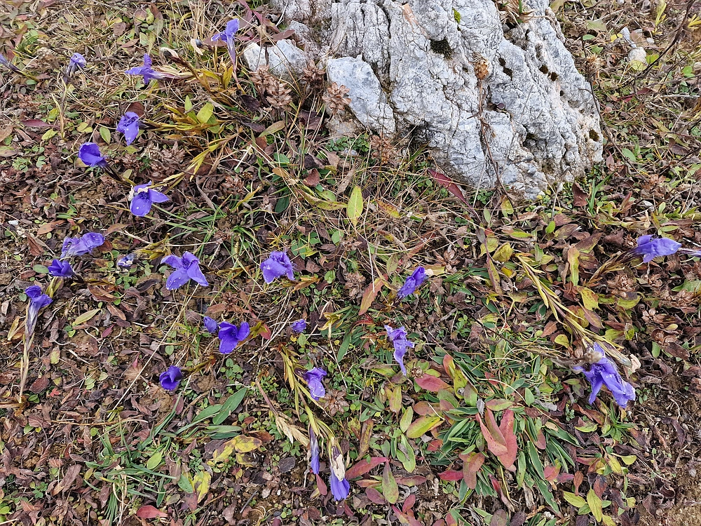 Ratitovec, 12. 10. 2025