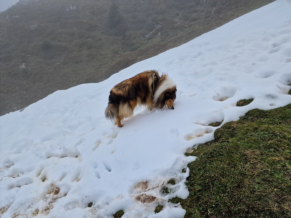 Ratitovec, 12. 10. 2025