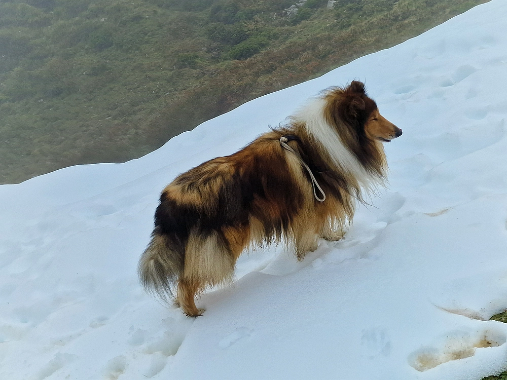 Ratitovec, 12. 10. 2025