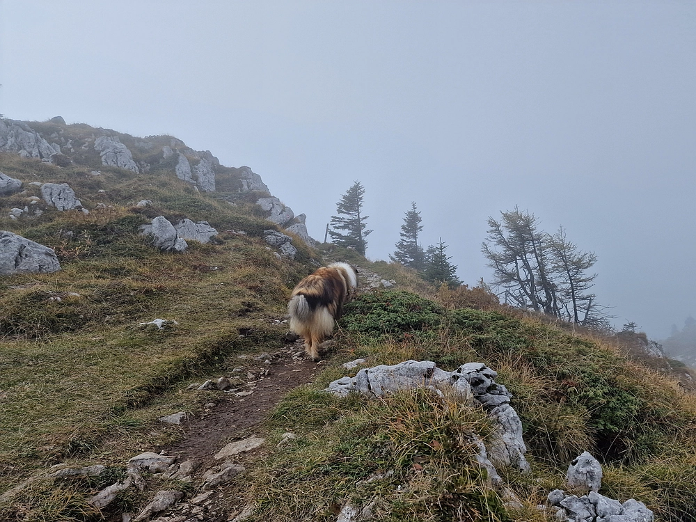 Ratitovec, 12. 10. 2025