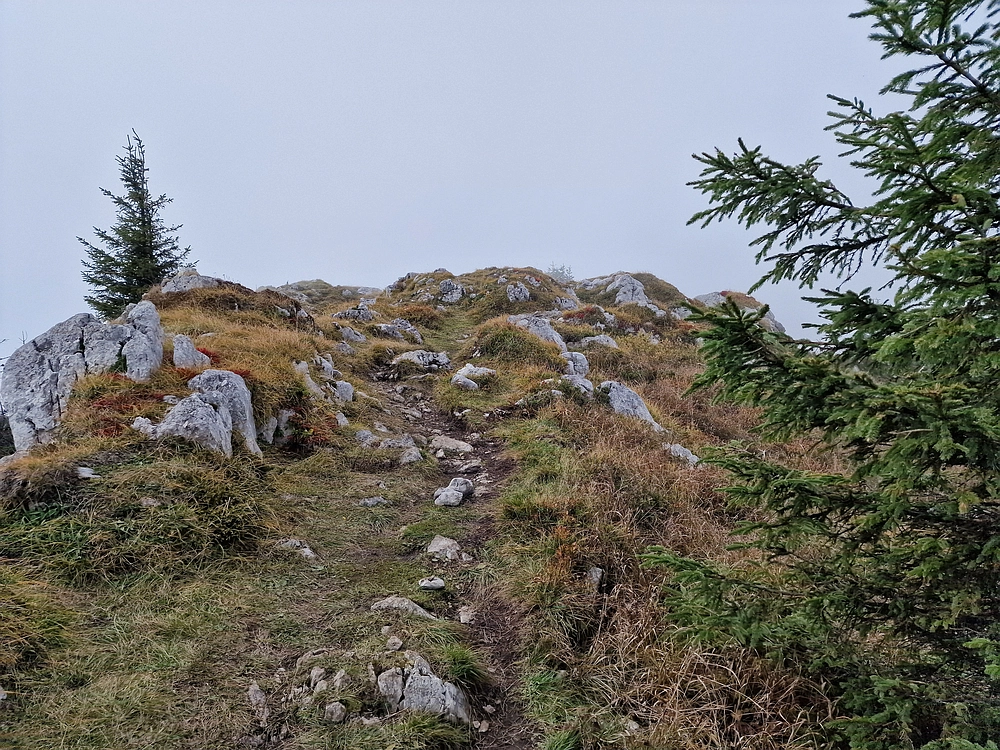 Ratitovec, 12. 10. 2025