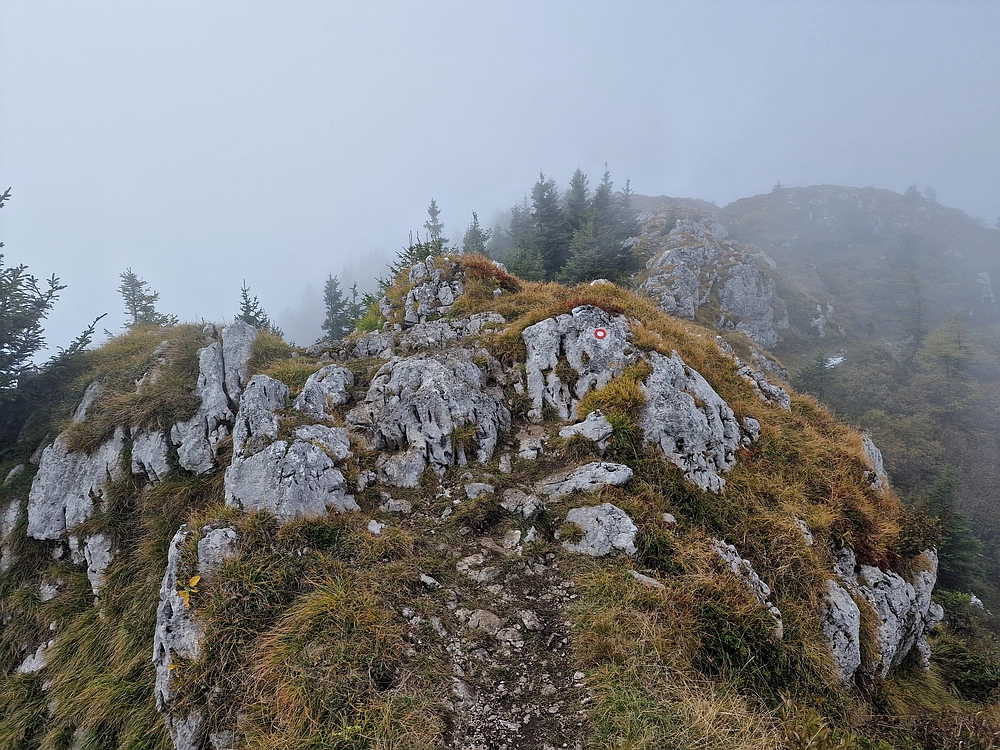 Ratitovec, 12. 10. 2025