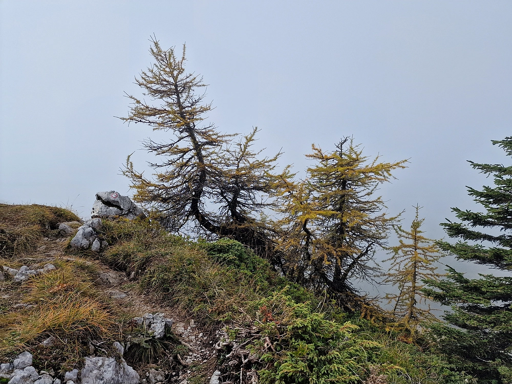 Ratitovec, 12. 10. 2025