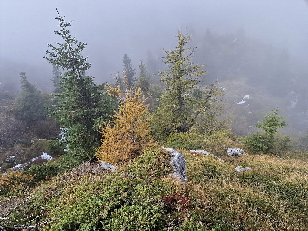 Ratitovec, 12. 10. 2025