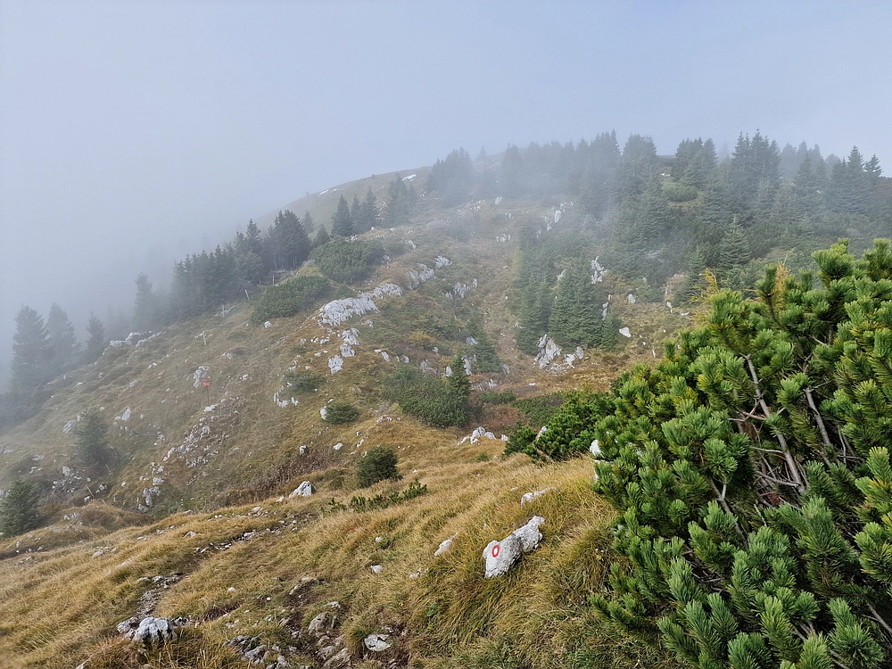 Ratitovec, 12. 10. 2025