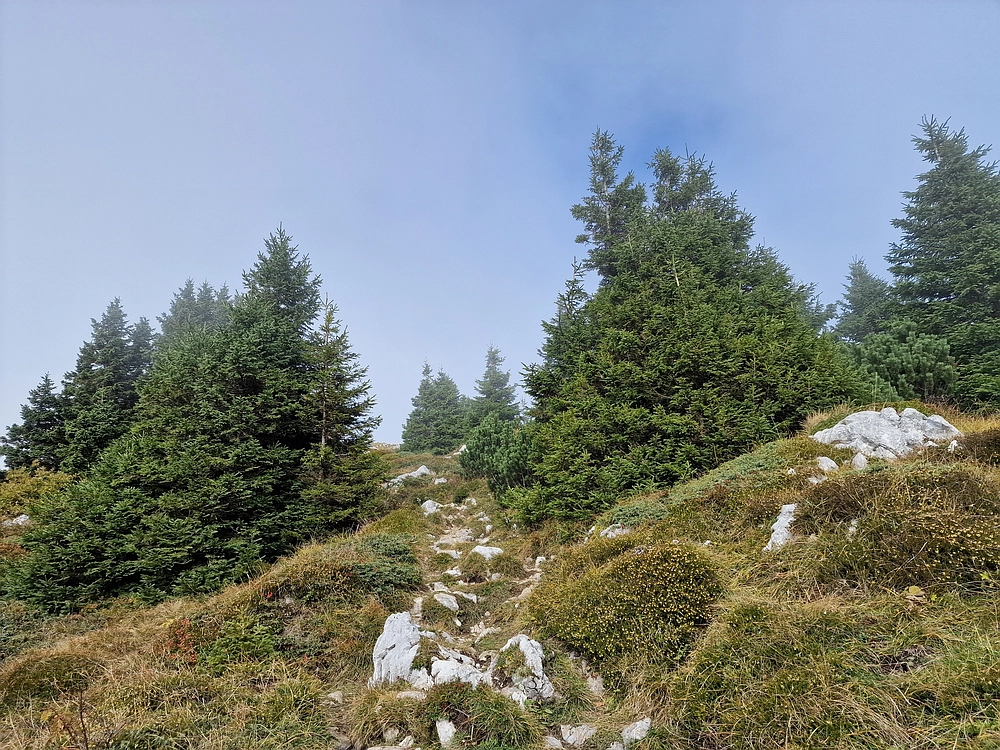 Ratitovec, 12. 10. 2025