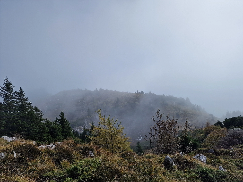 Ratitovec, 12. 10. 2025