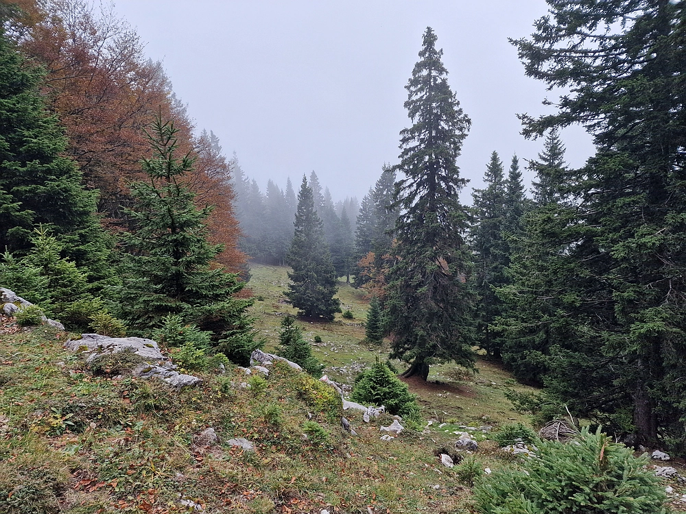 Ratitovec, 12. 10. 2025