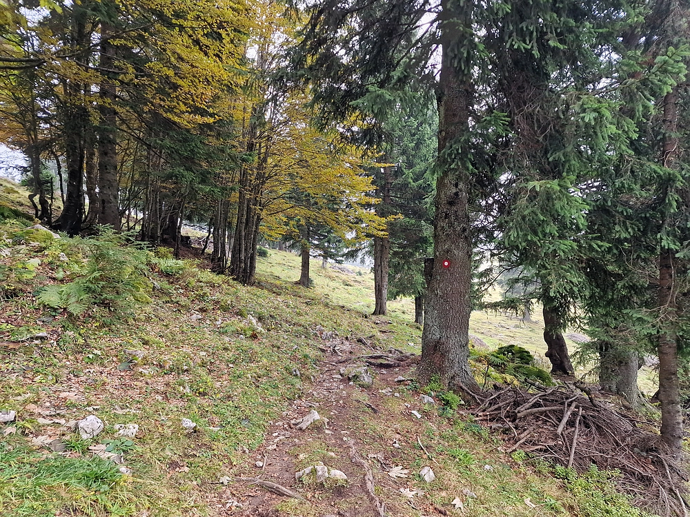 Ratitovec, 12. 10. 2025