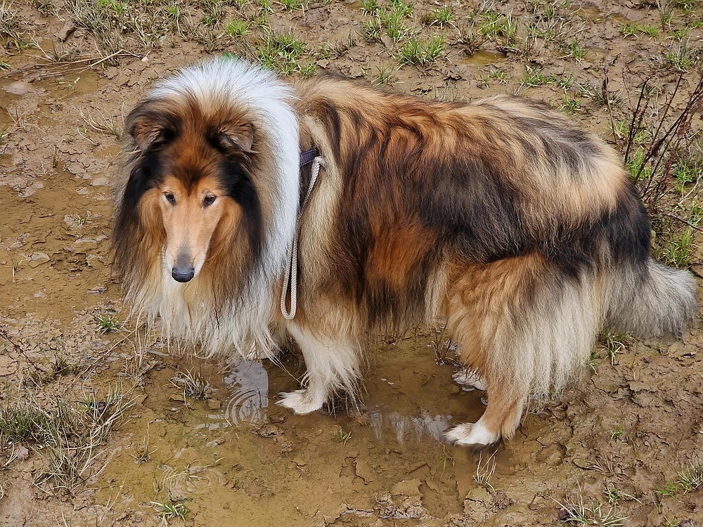 Ratitovec, 12. 10. 2025