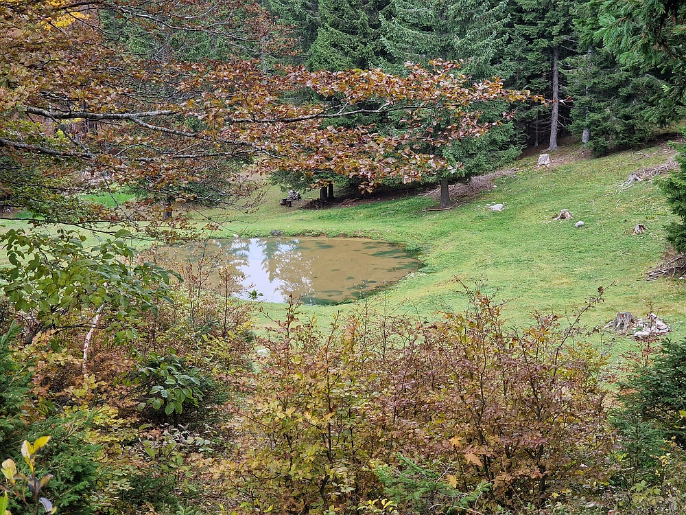 Ratitovec, 12. 10. 2025