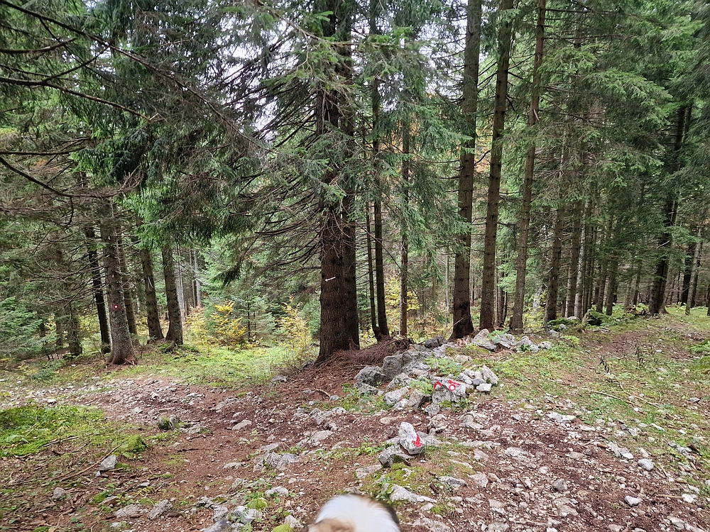 Ratitovec, 12. 10. 2025