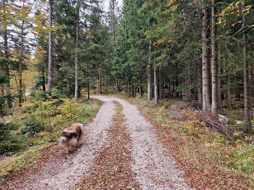 Ratitovec, 12. 10. 2025