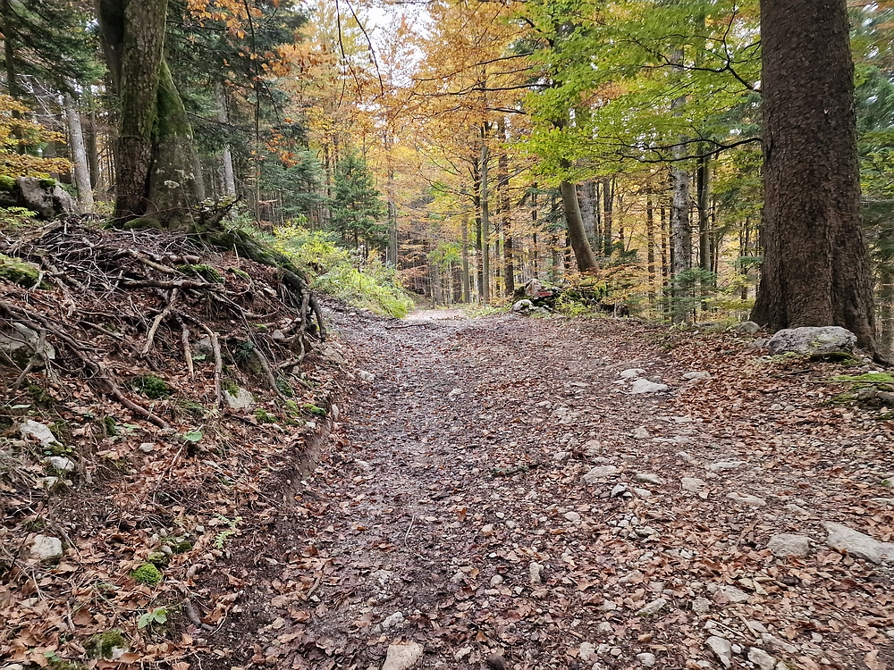 Ratitovec, 12. 10. 2025