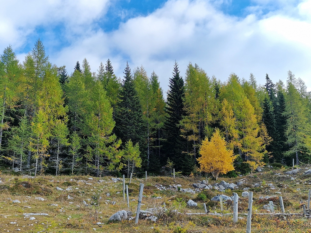 Križevnik, 18. 10. 2025