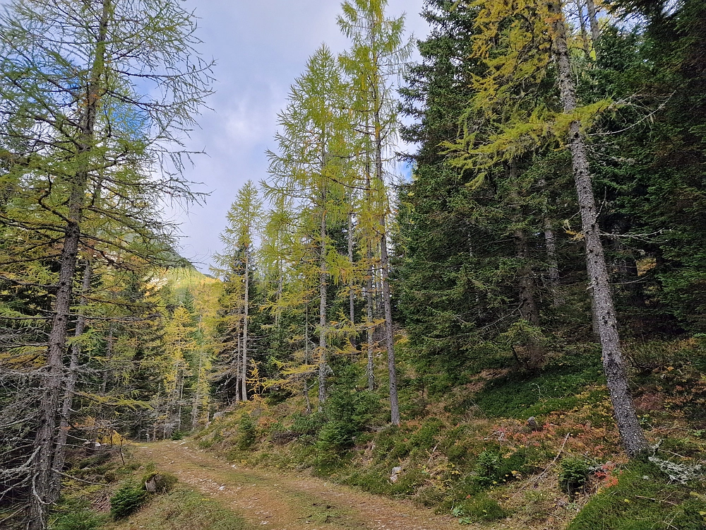 Križevnik, 18. 10. 2025