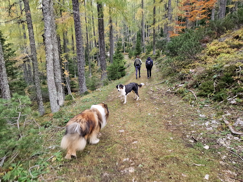 Križevnik, 18. 10. 2025