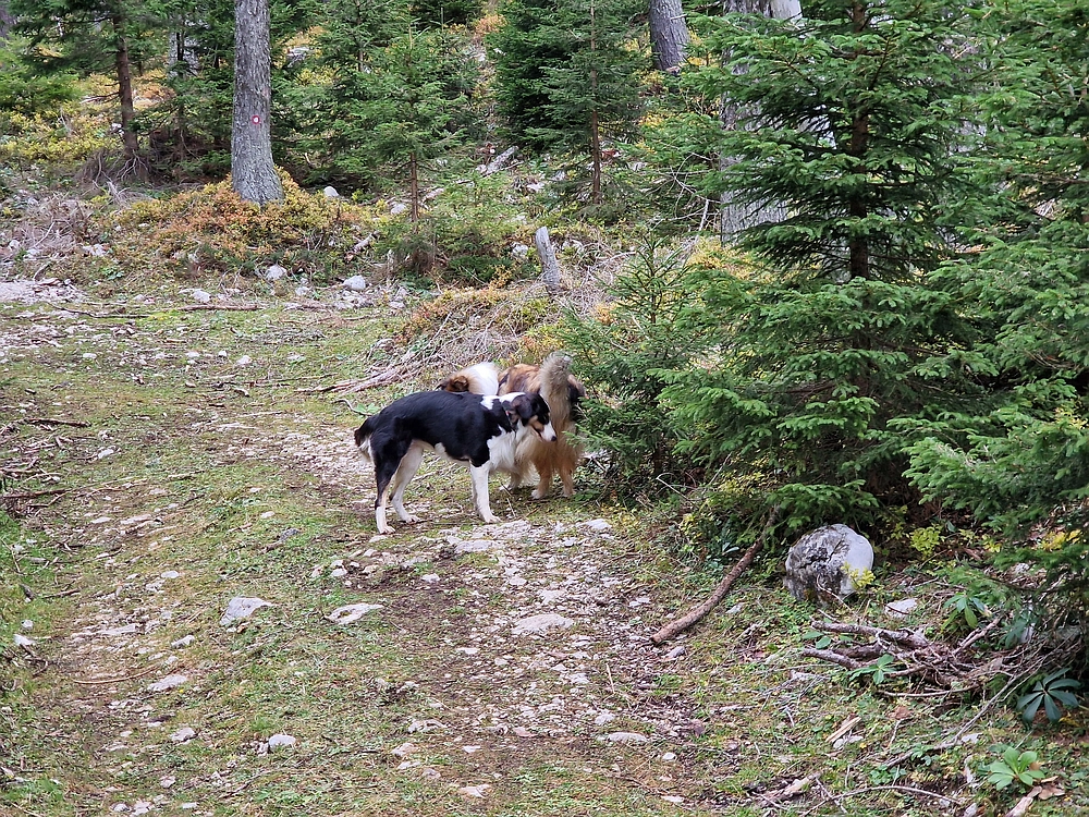 Križevnik, 18. 10. 2025