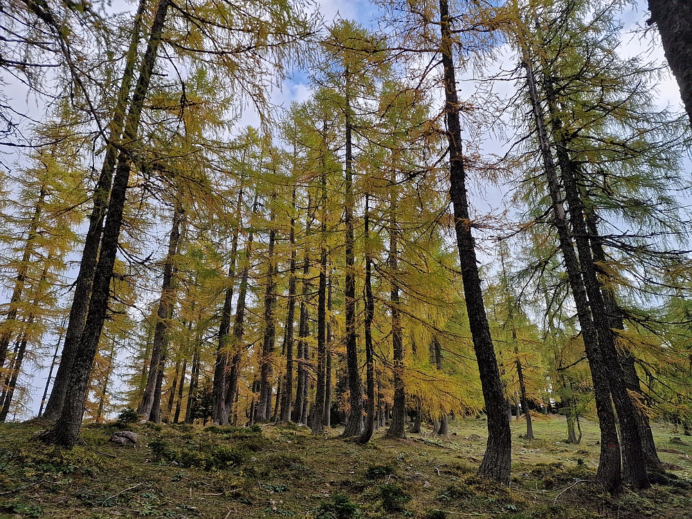 Križevnik, 18. 10. 2025