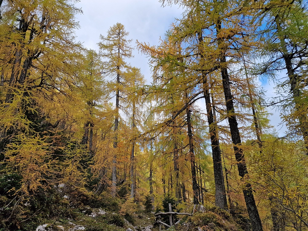 Križevnik, 18. 10. 2025