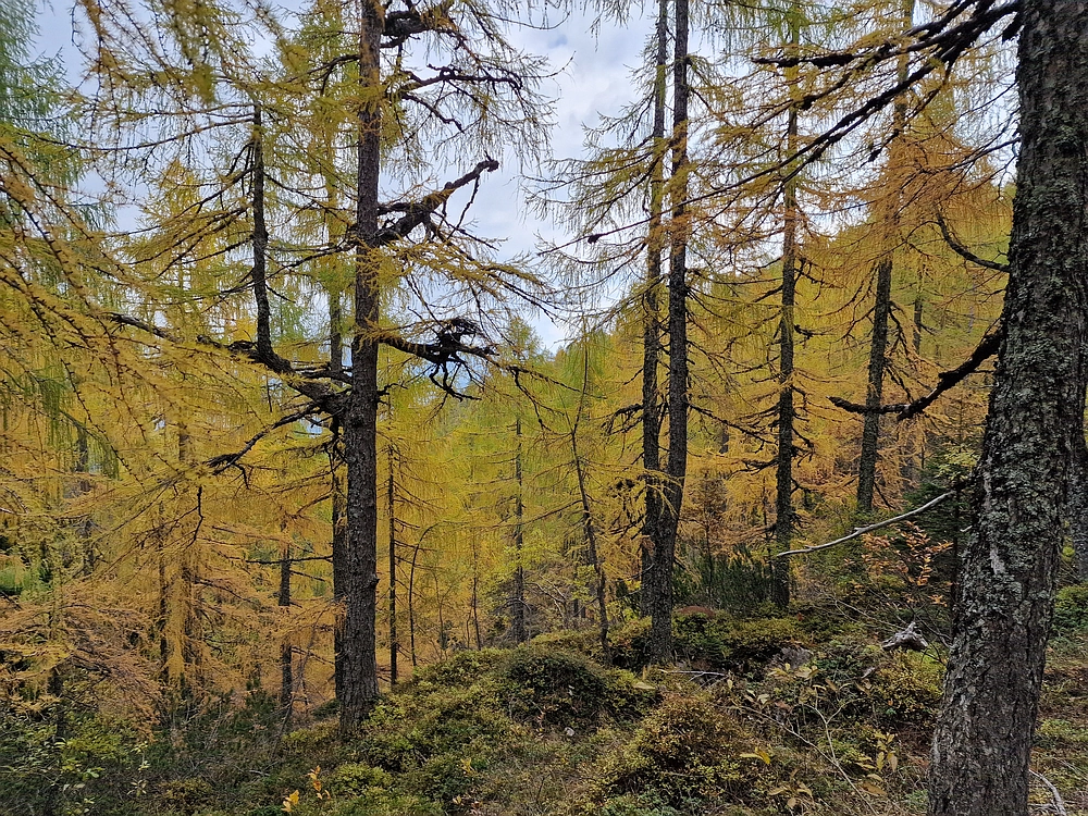 Križevnik, 18. 10. 2025