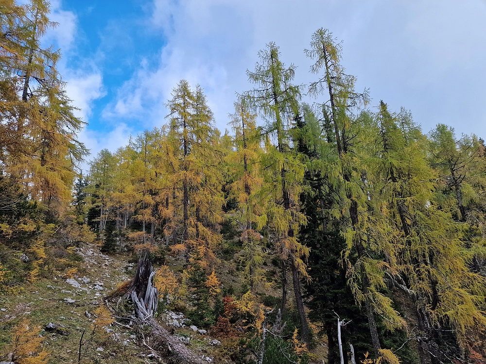 Križevnik, 18. 10. 2025