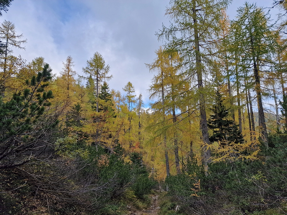 Križevnik, 18. 10. 2025