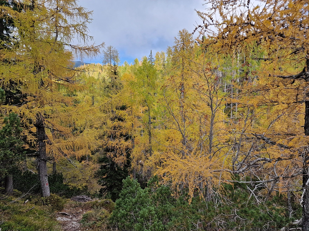 Križevnik, 18. 10. 2025