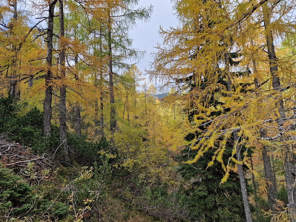 Križevnik, 18. 10. 2025