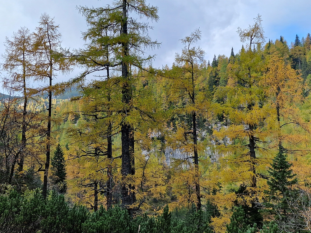 Križevnik, 18. 10. 2025