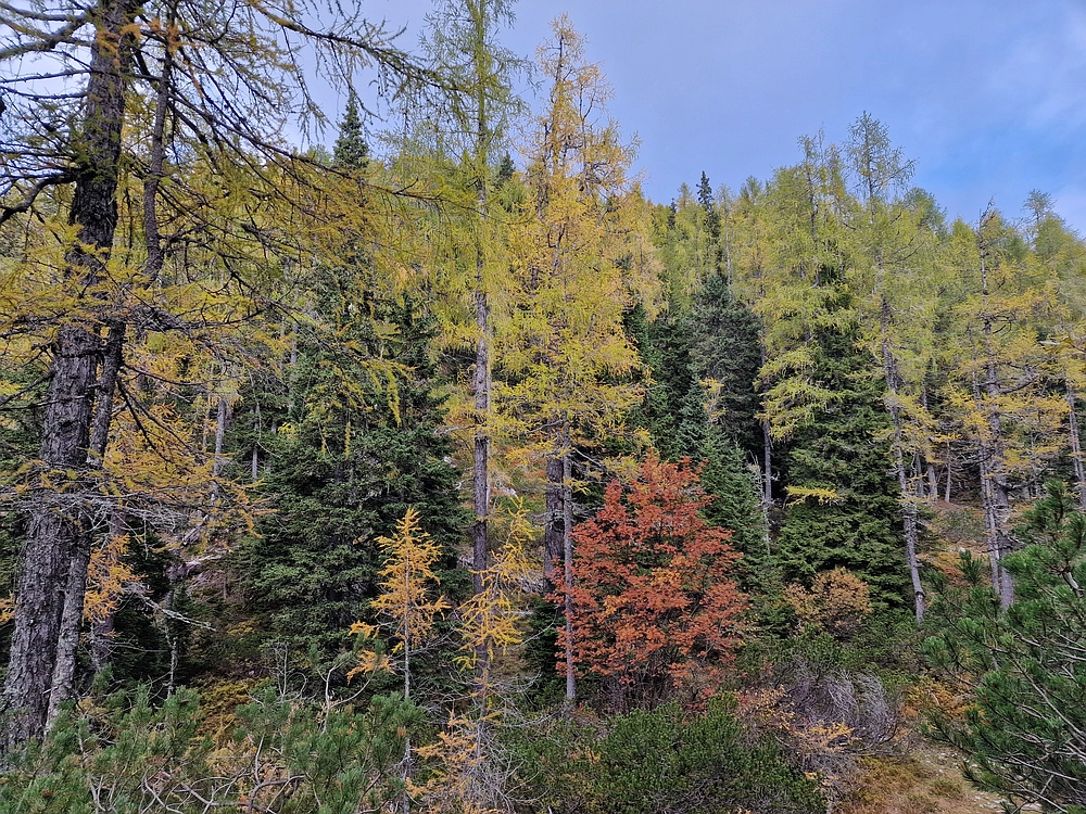 Križevnik, 18. 10. 2025