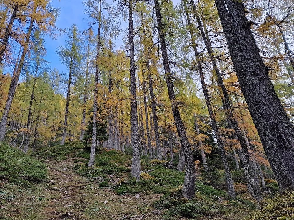 Križevnik, 18. 10. 2025