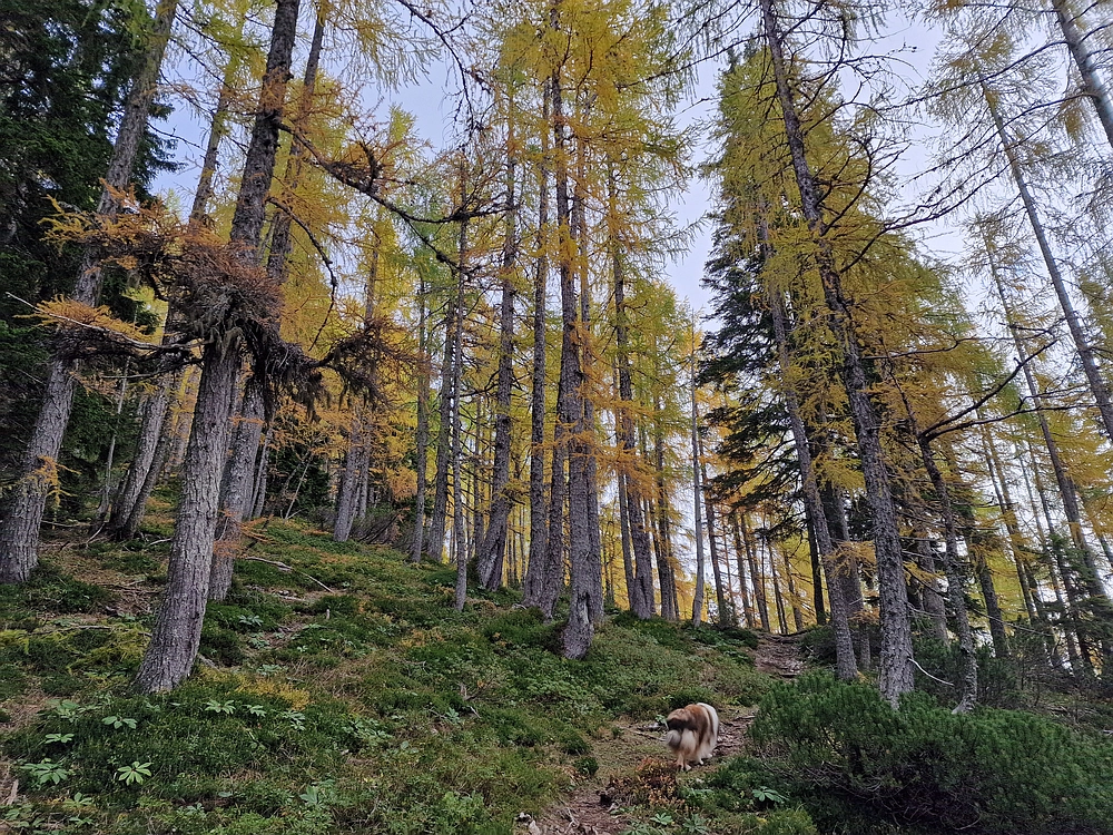 Križevnik, 18. 10. 2025