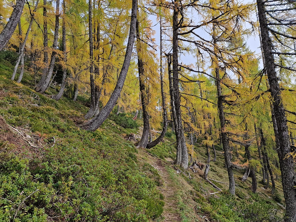 Križevnik, 18. 10. 2025