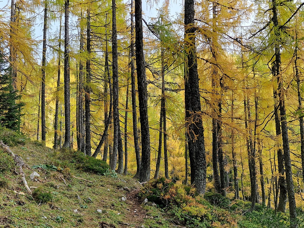 Križevnik, 18. 10. 2025