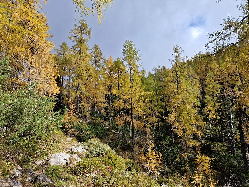 Križevnik, 18. 10. 2025