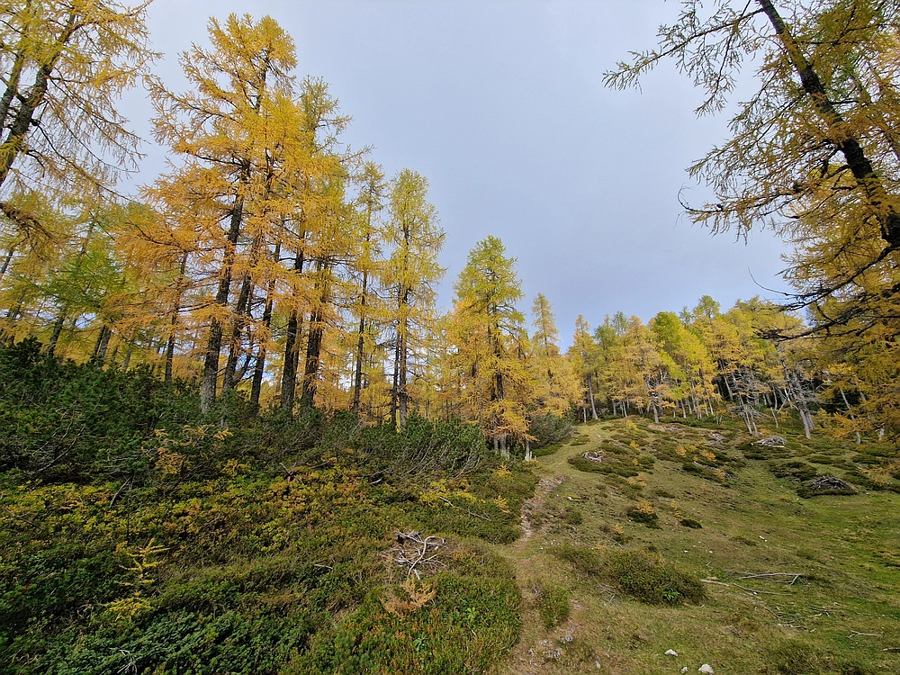 Križevnik, 18. 10. 2025