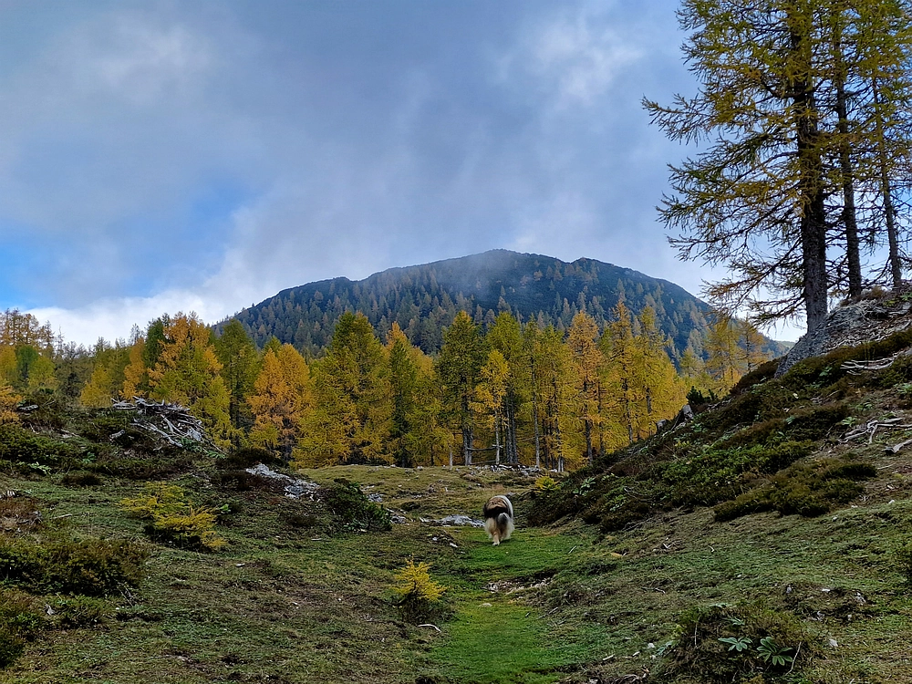 Križevnik, 18. 10. 2025