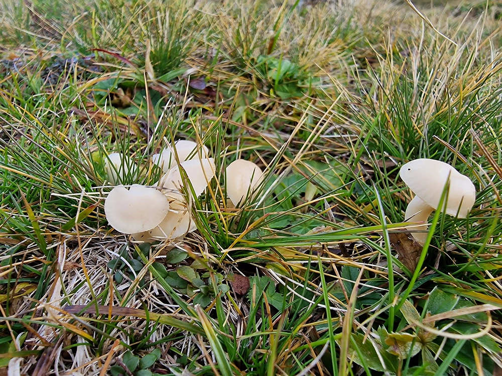 Križevnik, 18. 10. 2025